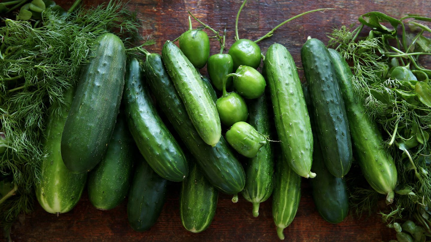 The Low‑Maintenance Vegetable That Thrives When You Leave It Alone — Gardener Secrets for Effortless Harvests
